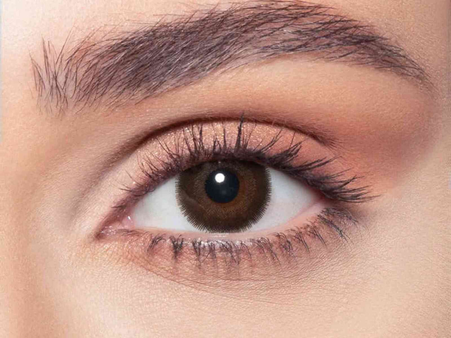 oneday-cedar-OnBrown