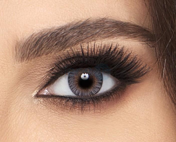 Freshlook Gray Daily