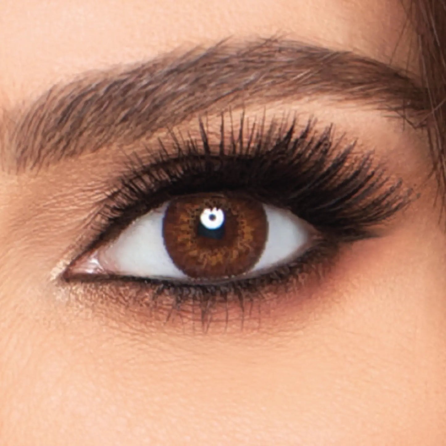 2_bf24fd5b-bed8-40f3-a98c-f392a39190df