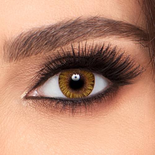 Freshlook Pure Hazel Daily
