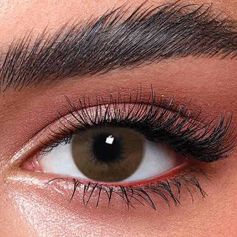 Bella—BROWN-SHADOW-2